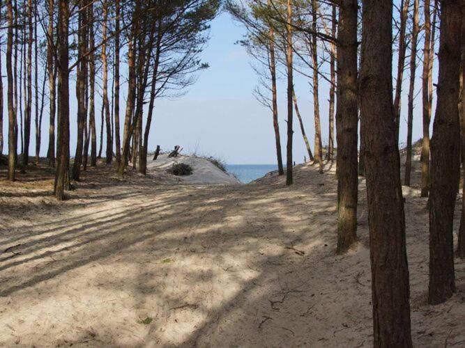 Comfortable Holiday Cottages, Mielenko Buitenkant foto